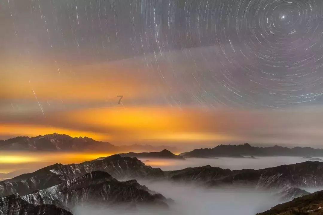 救援小犬立苏